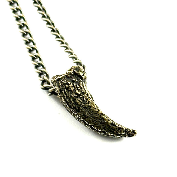 Organic Casting Collection - Fossilized Turtle Claw Necklace