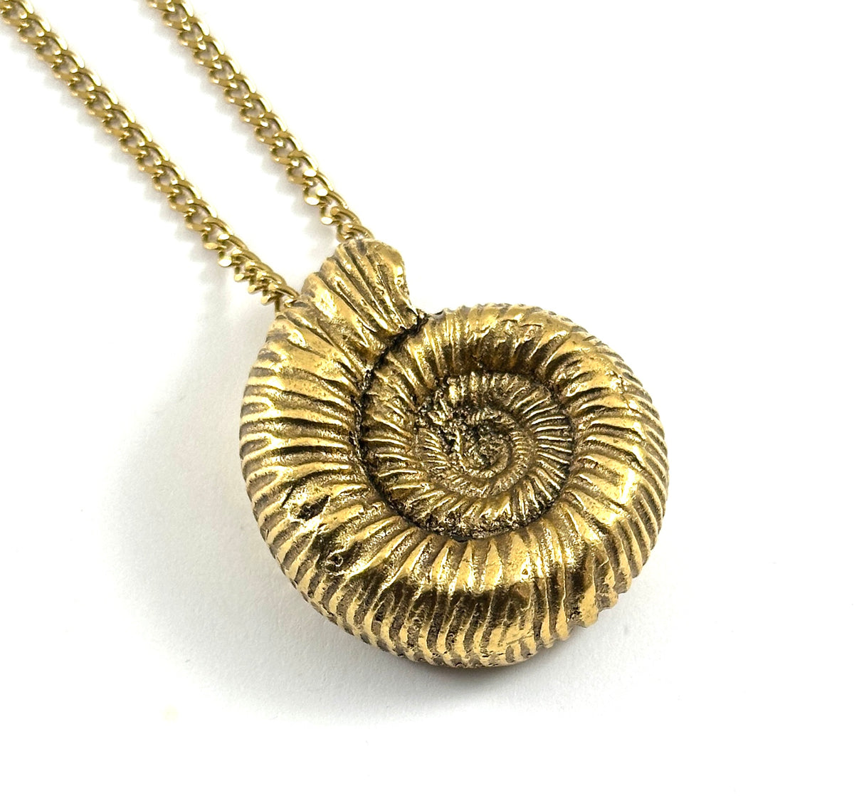 Organic Casting Collection - Ammonite Necklace