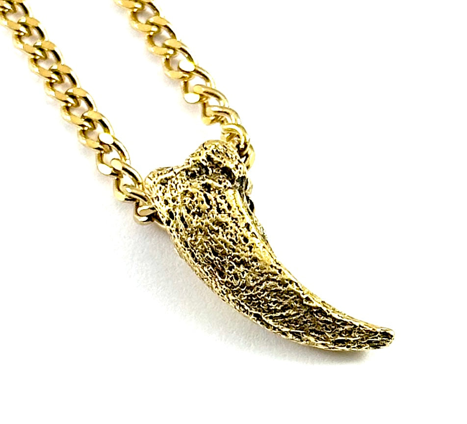 Organic Casting Collection - Fossilized Turtle Claw Necklace