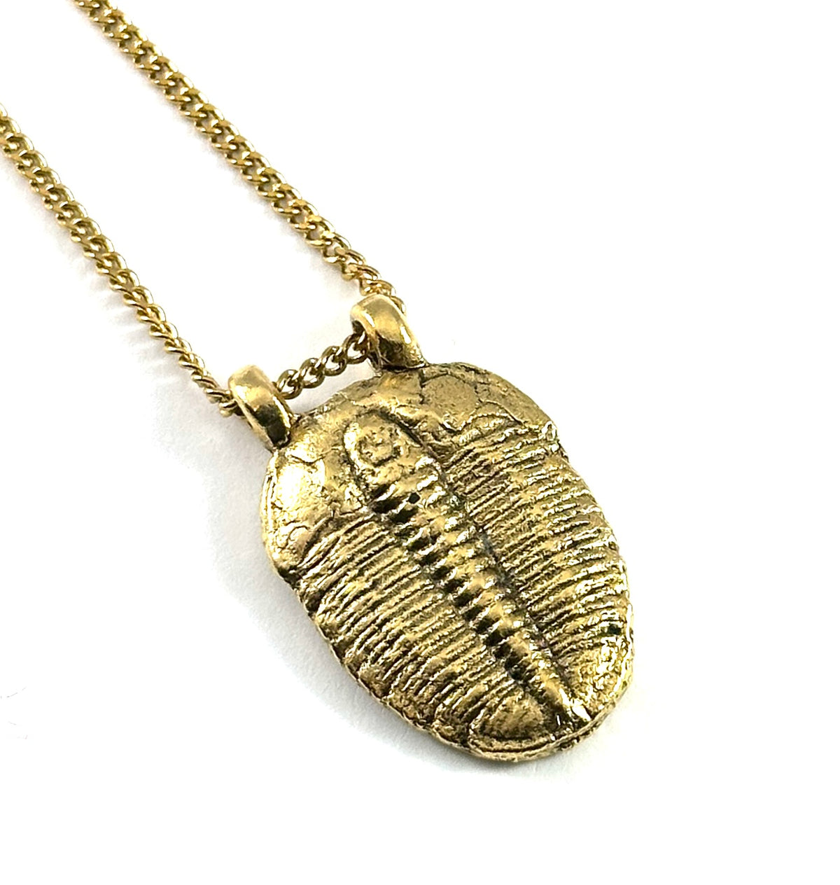 Organic Casting Collection - Fossilized Trilobite Necklace