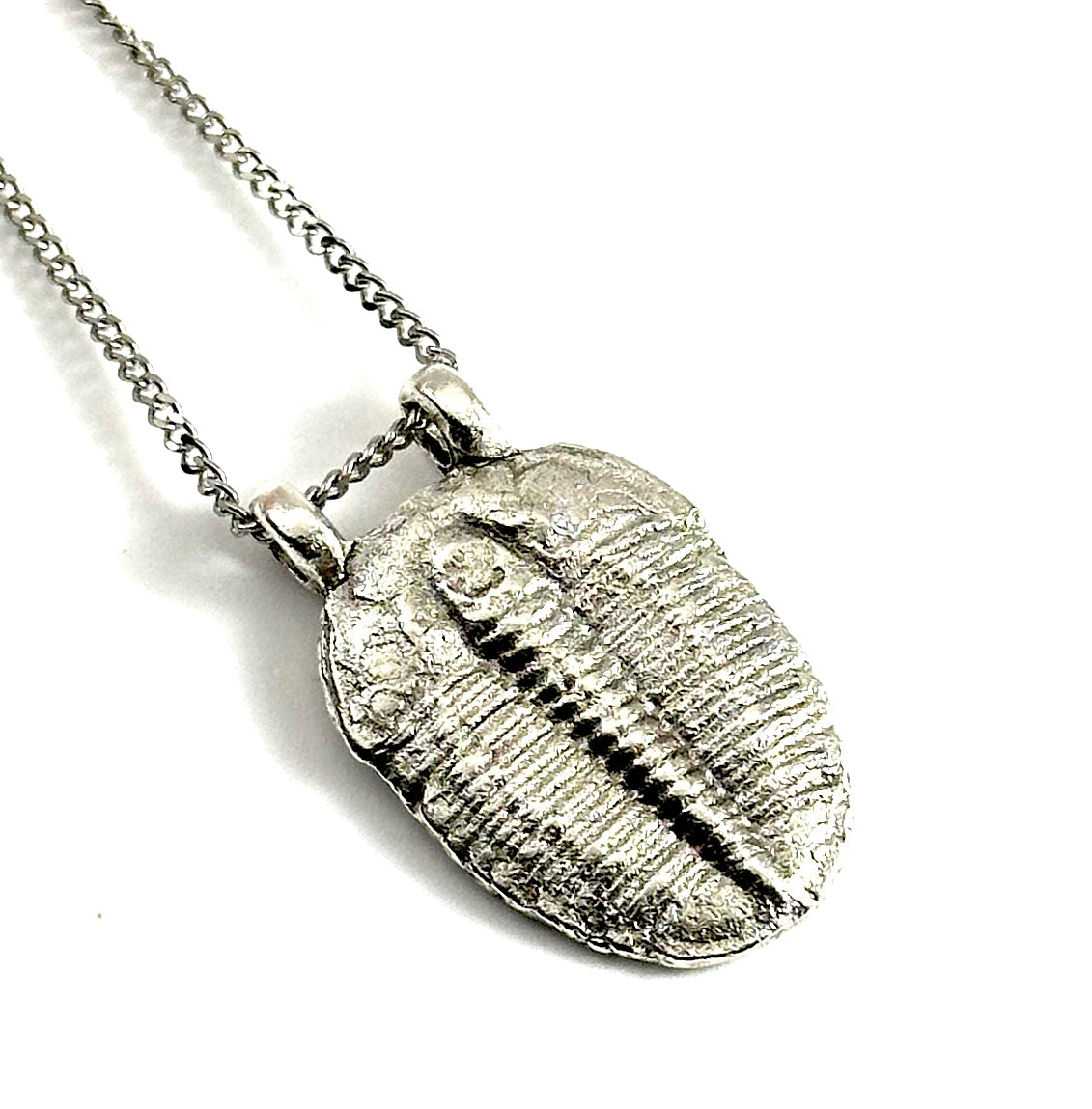 Organic Casting Collection - Fossilized Trilobite Necklace