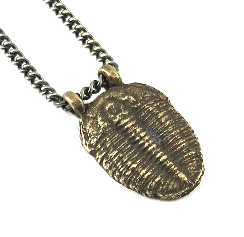 Organic Casting Collection - Fossilized Trilobite Necklace