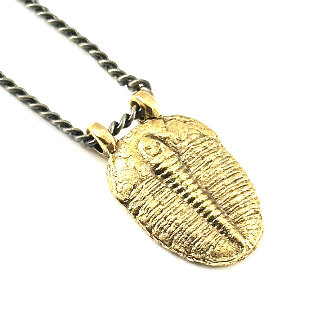 Organic Casting Collection - Fossilized Trilobite Necklace
