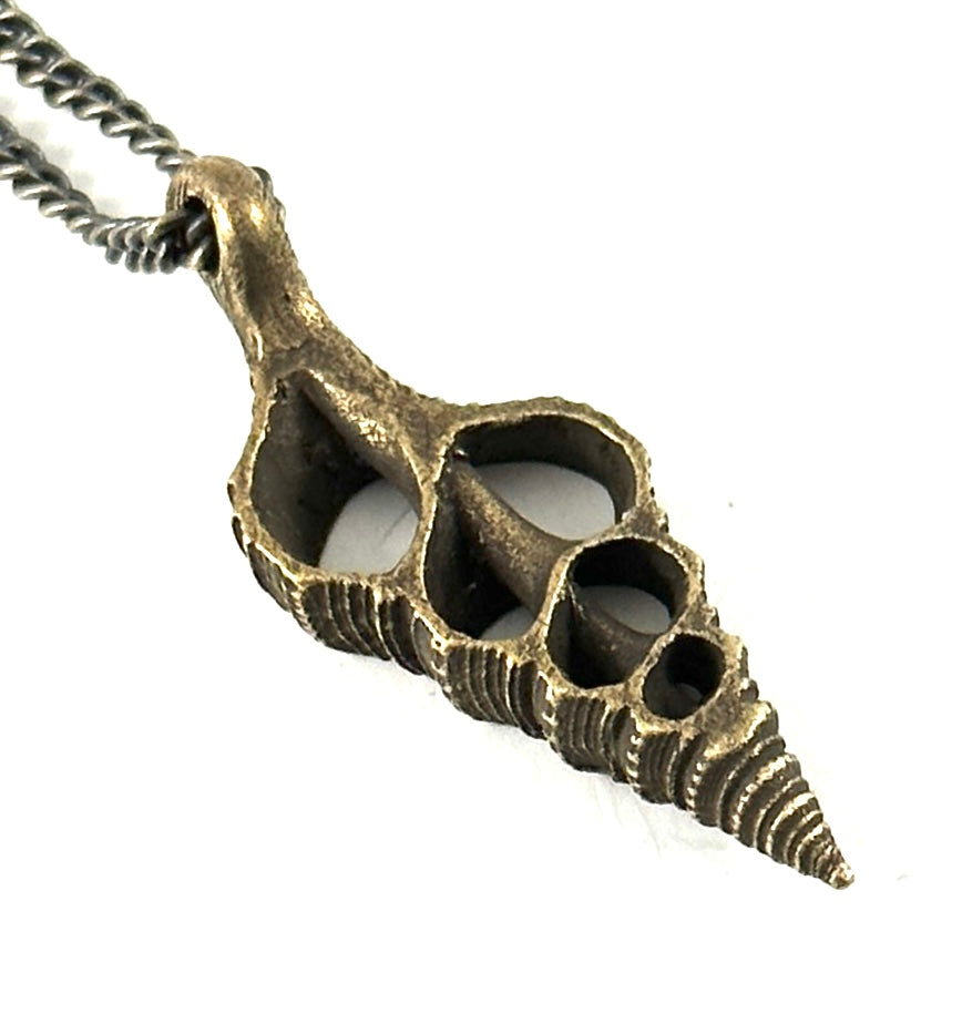Organic Casting Collection - Arabian Conch Shell Necklace