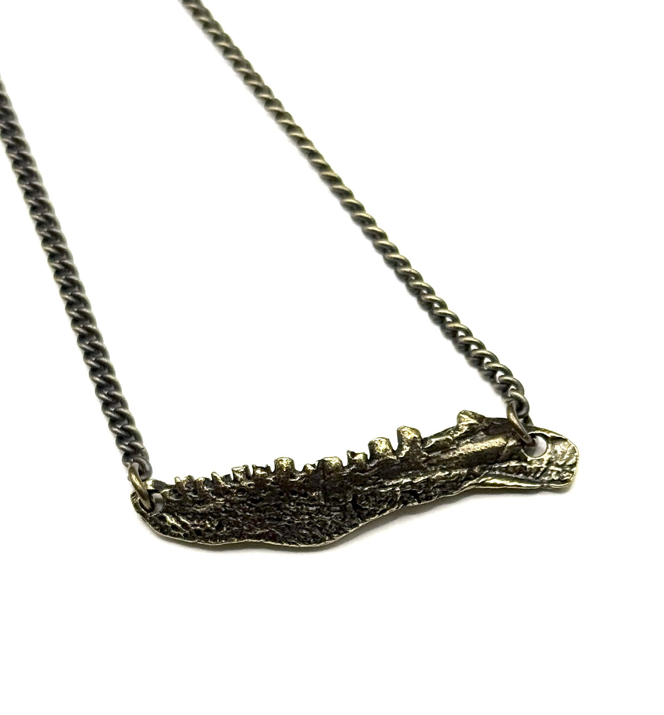 Organic Casting Collection - Fossilized Bowfin Jaw