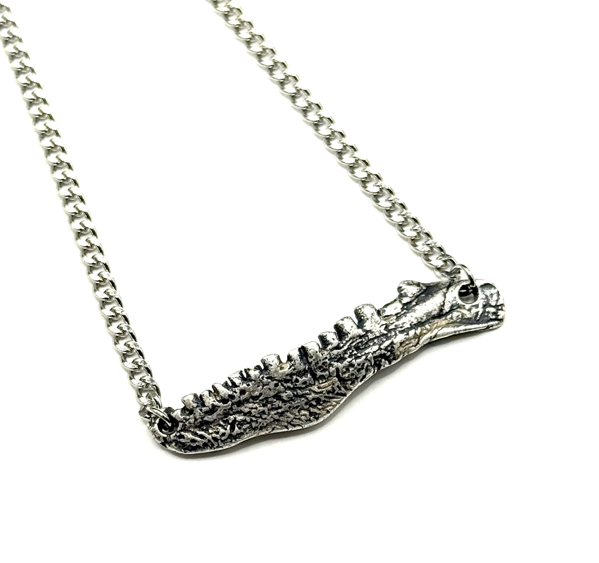 Organic Casting Collection - Fossilized Bowfin Jaw