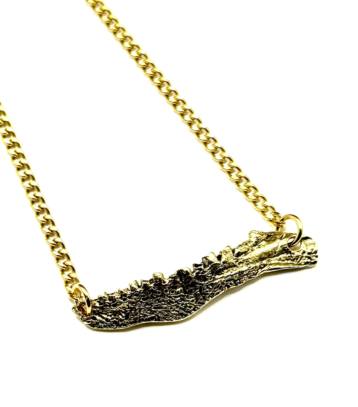 Organic Casting Collection - Fossilized Bowfin Jaw