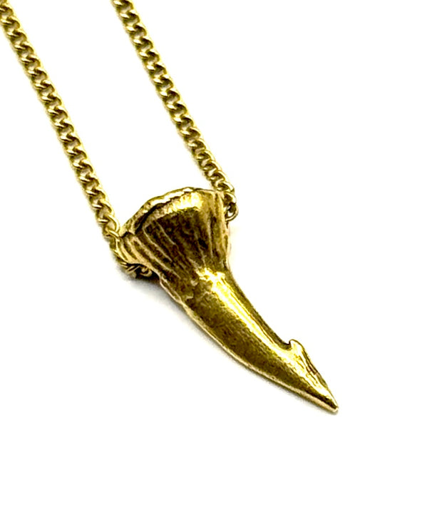 Organic Casting Collection - Fossilized Sawfish Barb