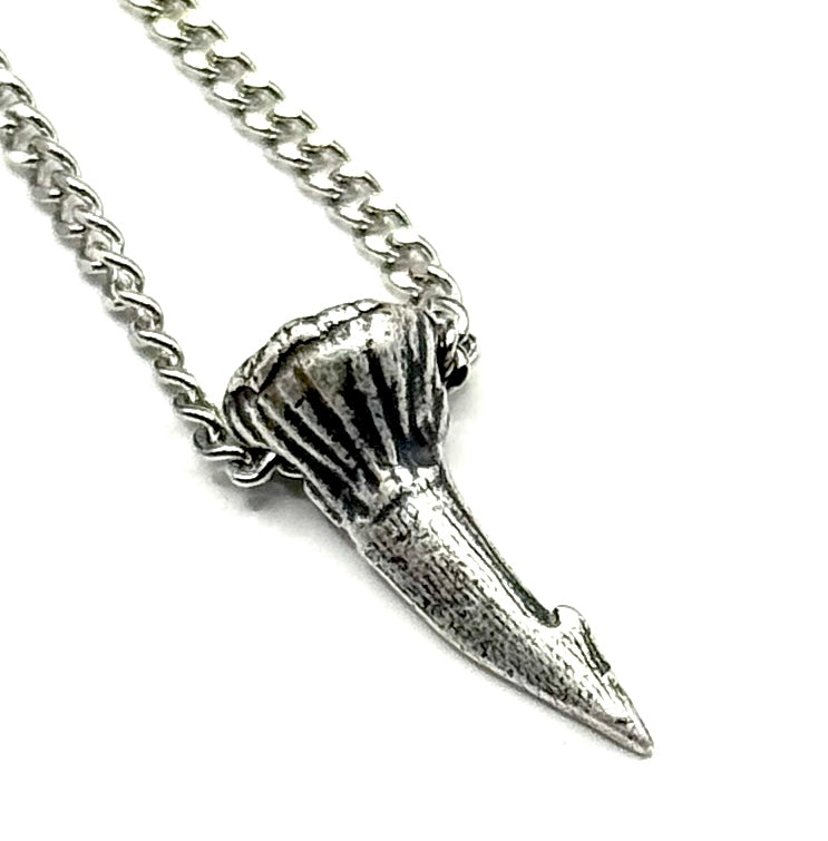 Organic Casting Collection - Fossilized Sawfish Barb