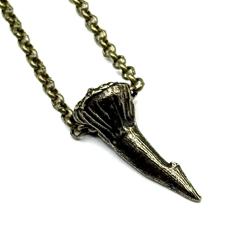 Organic Casting Collection - Fossilized Sawfish Barb