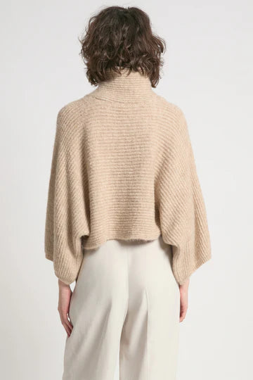 Super Soft Turtleneck Sweater