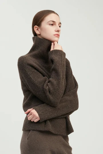 Turtleneck Sweater