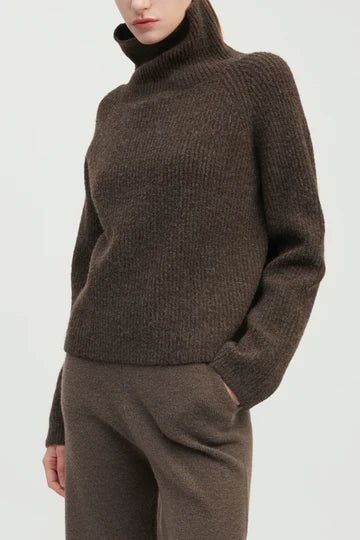 Turtleneck Sweater